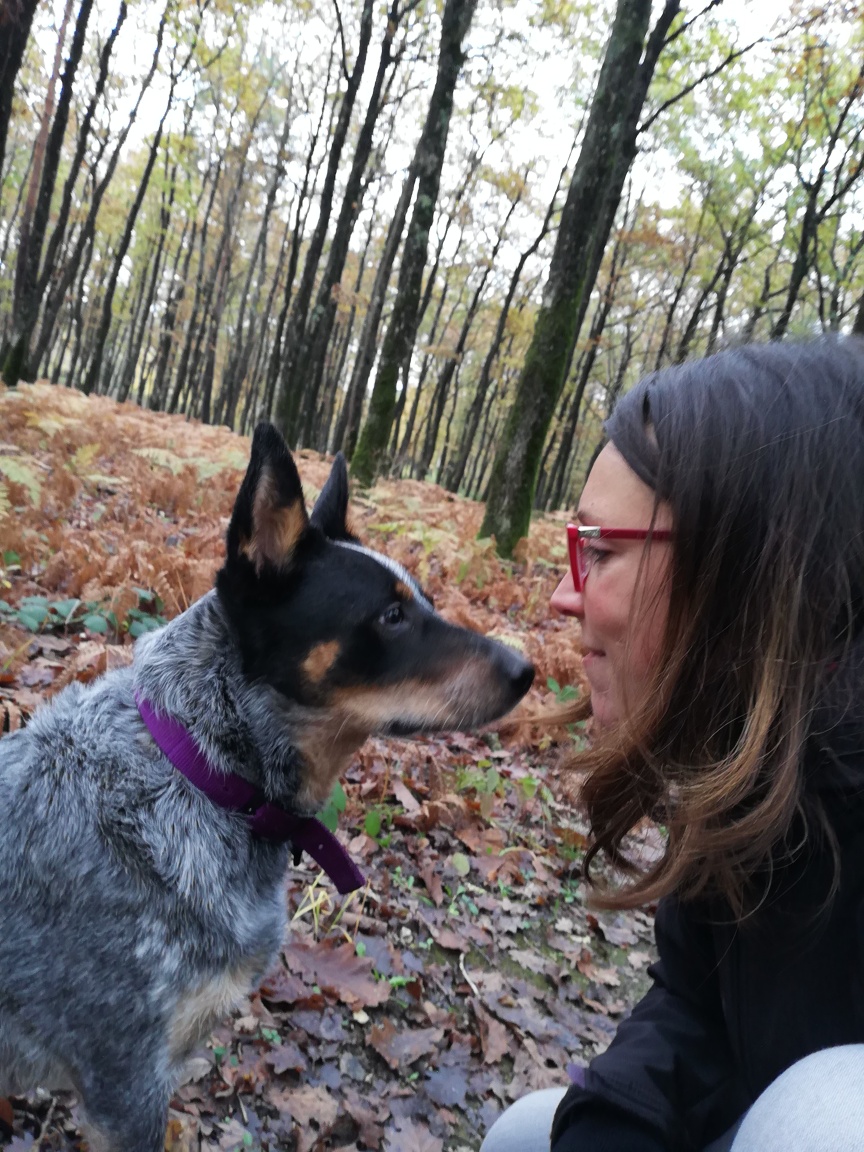 Cani'Bonheur — photo