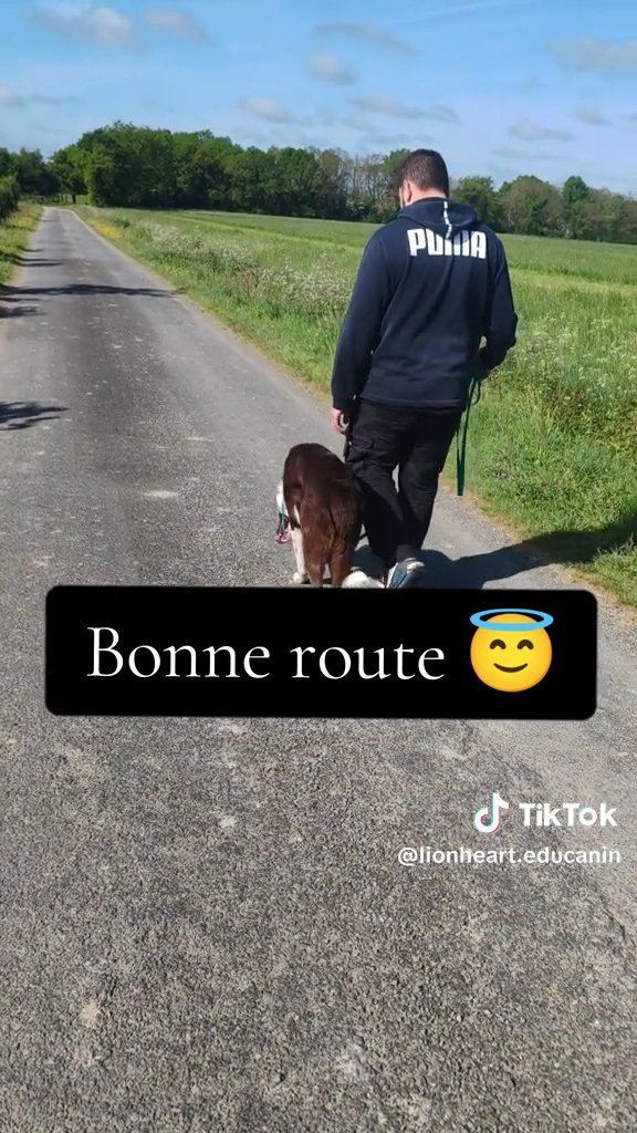 Educateur canin éducation chiot Lionheart Edu'canin- Educateur canin ,Comportementaliste Canin, garde chien, pet sitter — photo