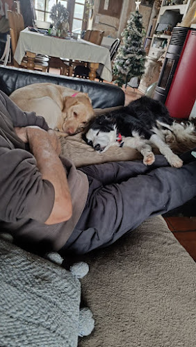Les bouilles d'amour