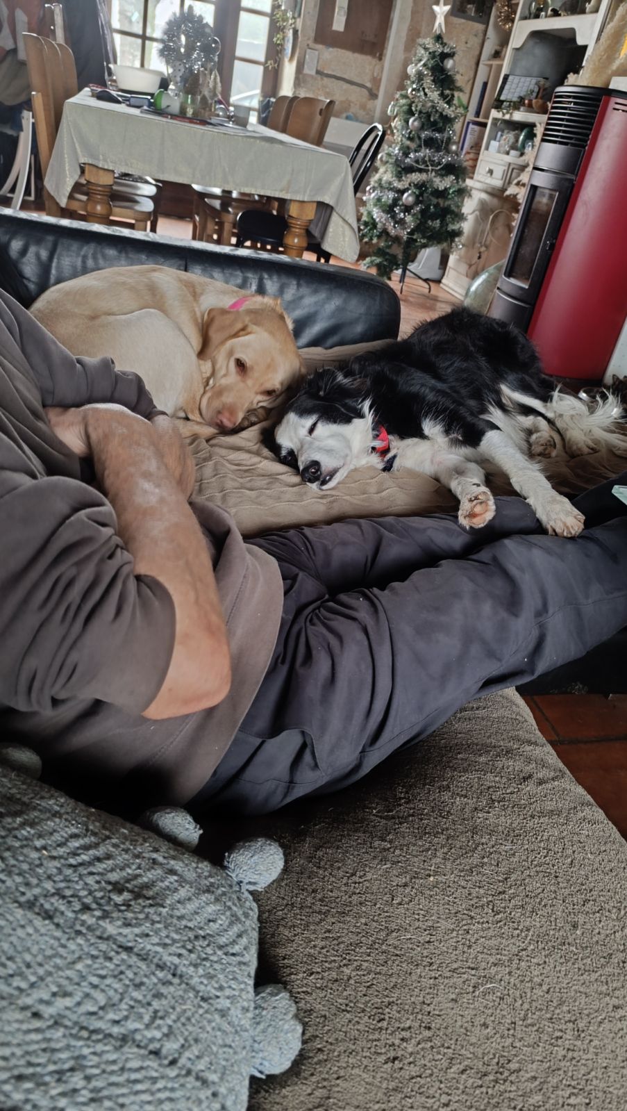 Les bouilles d'amour — photo