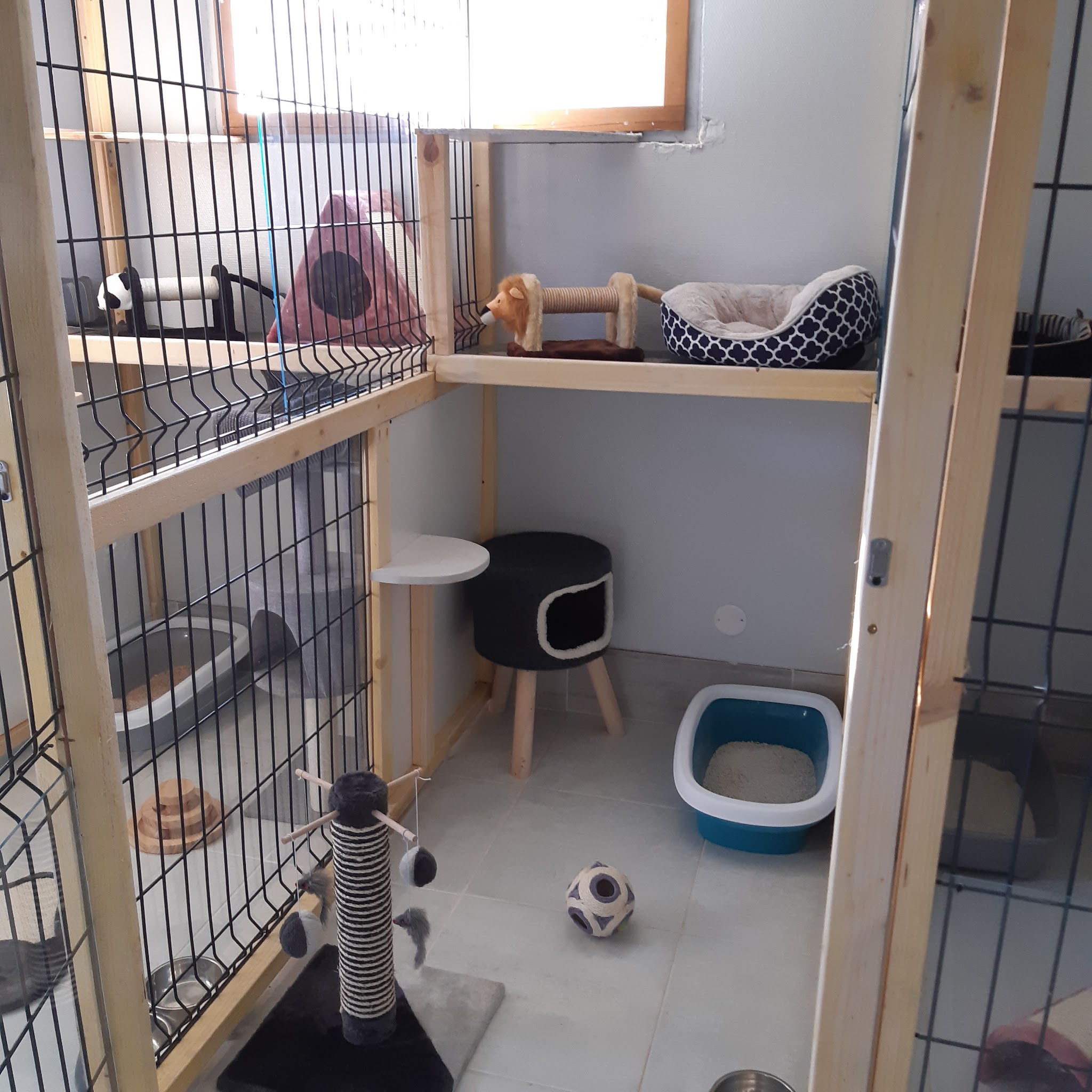Pension canine et féline des 4'Pattes — photo