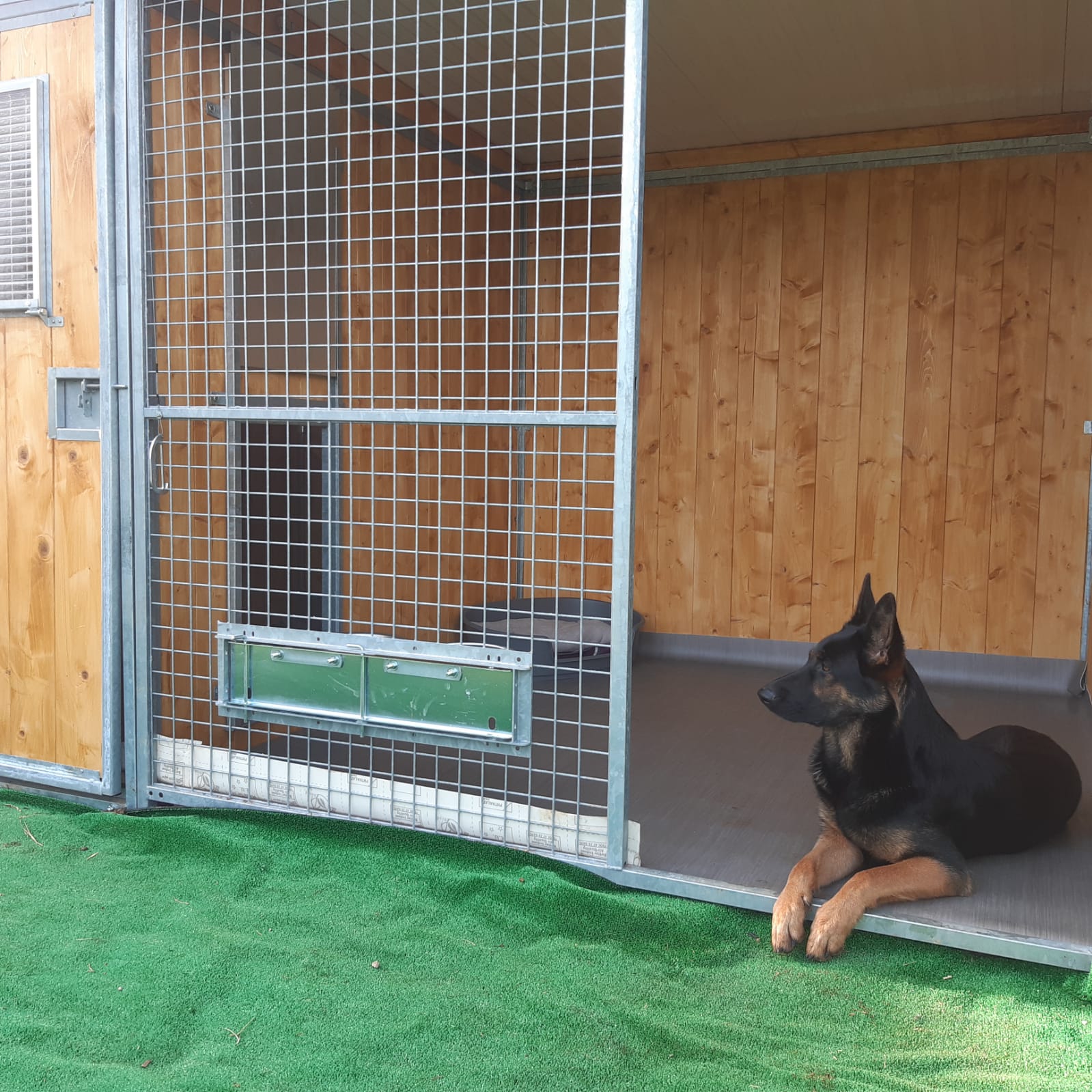 Pension canine et féline des 4'Pattes — photo