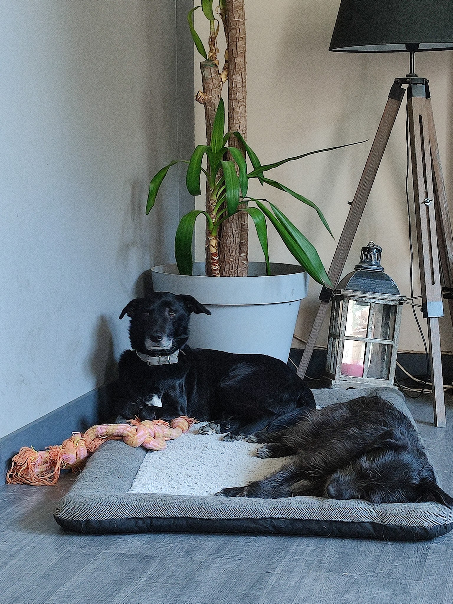 Malika&Co — photo