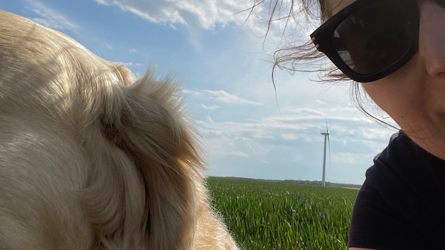 MUZOZEN Comportementaliste Chat et Chien-Educateur canin Garde à Domicile chat et lapin — photo