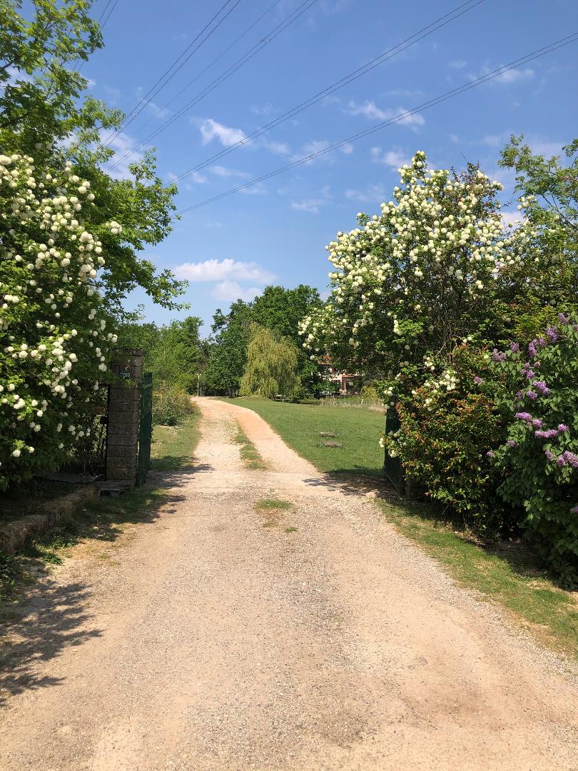 Pension canine des Taravas