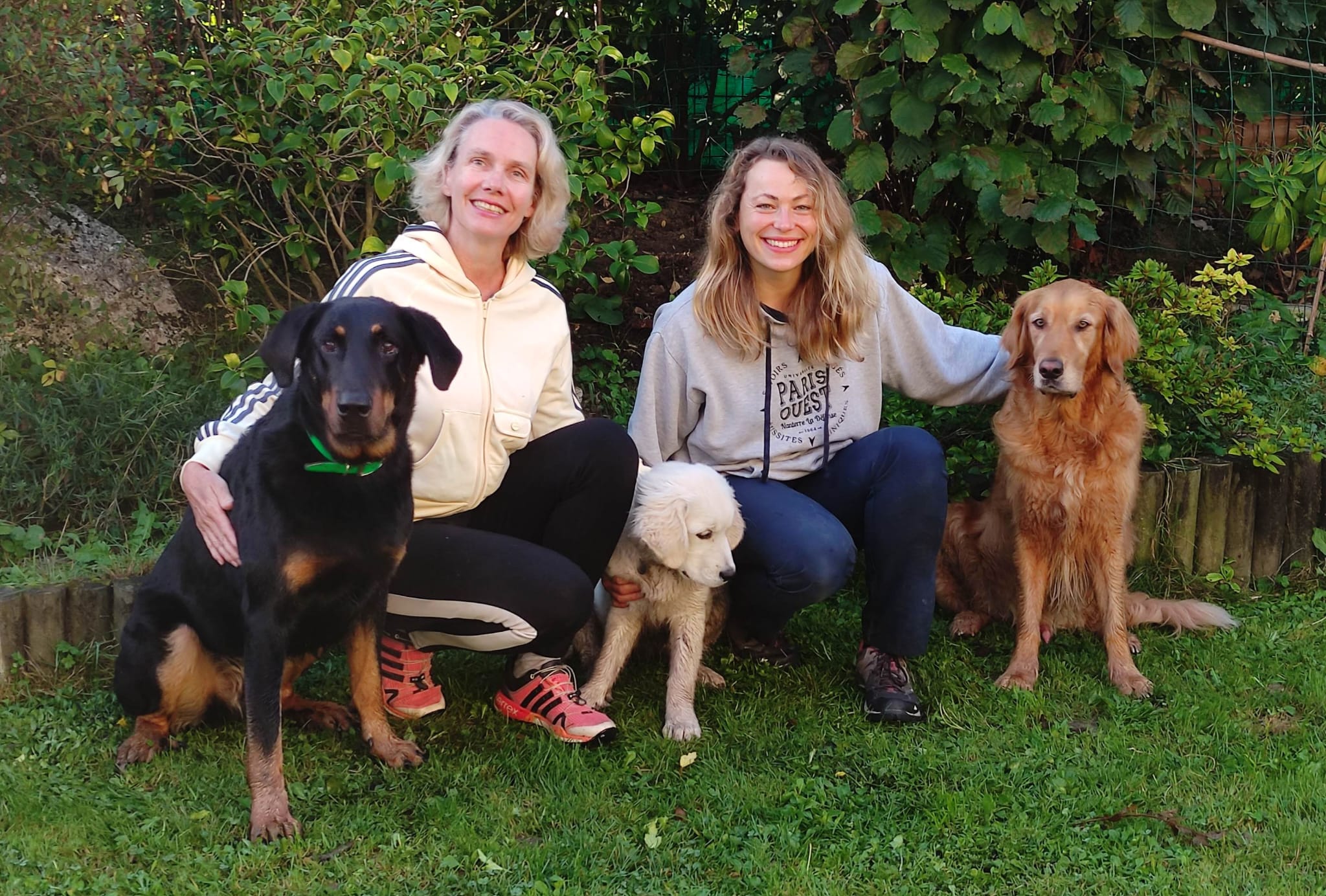 Happy Dogs and You — photo