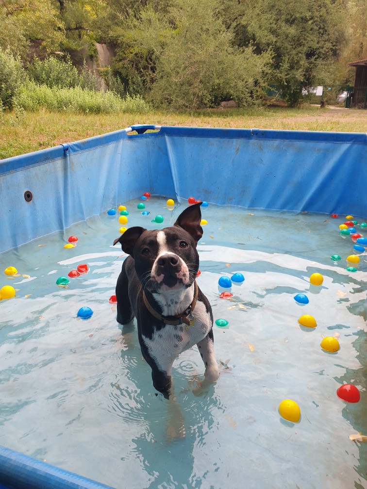 Canivallée — photo