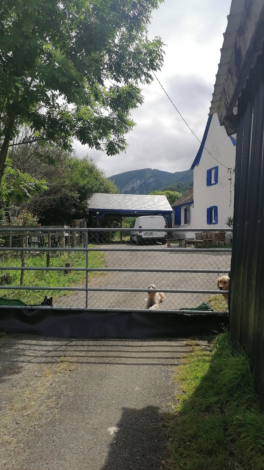 Canicolo (ni cage,ni box) Education canine — photo
