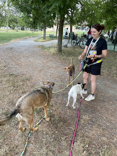 Cécile Petsitter et photographe animalier