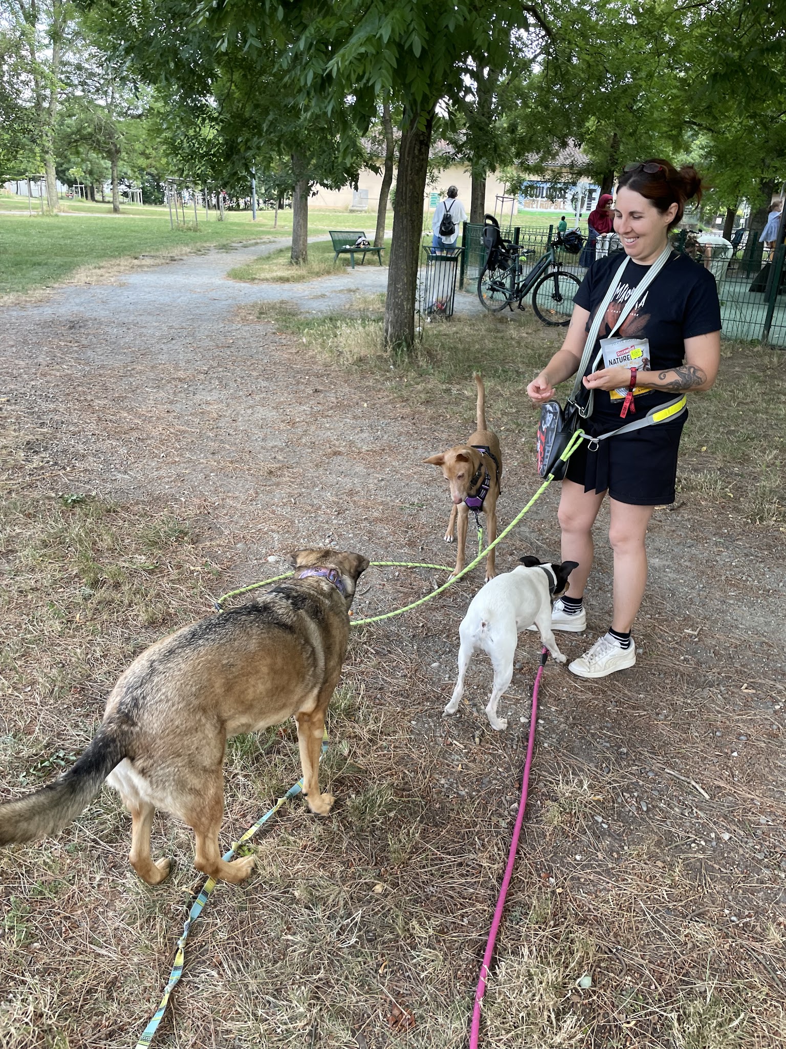 Cécile Petsitter et photographe animalier — photo