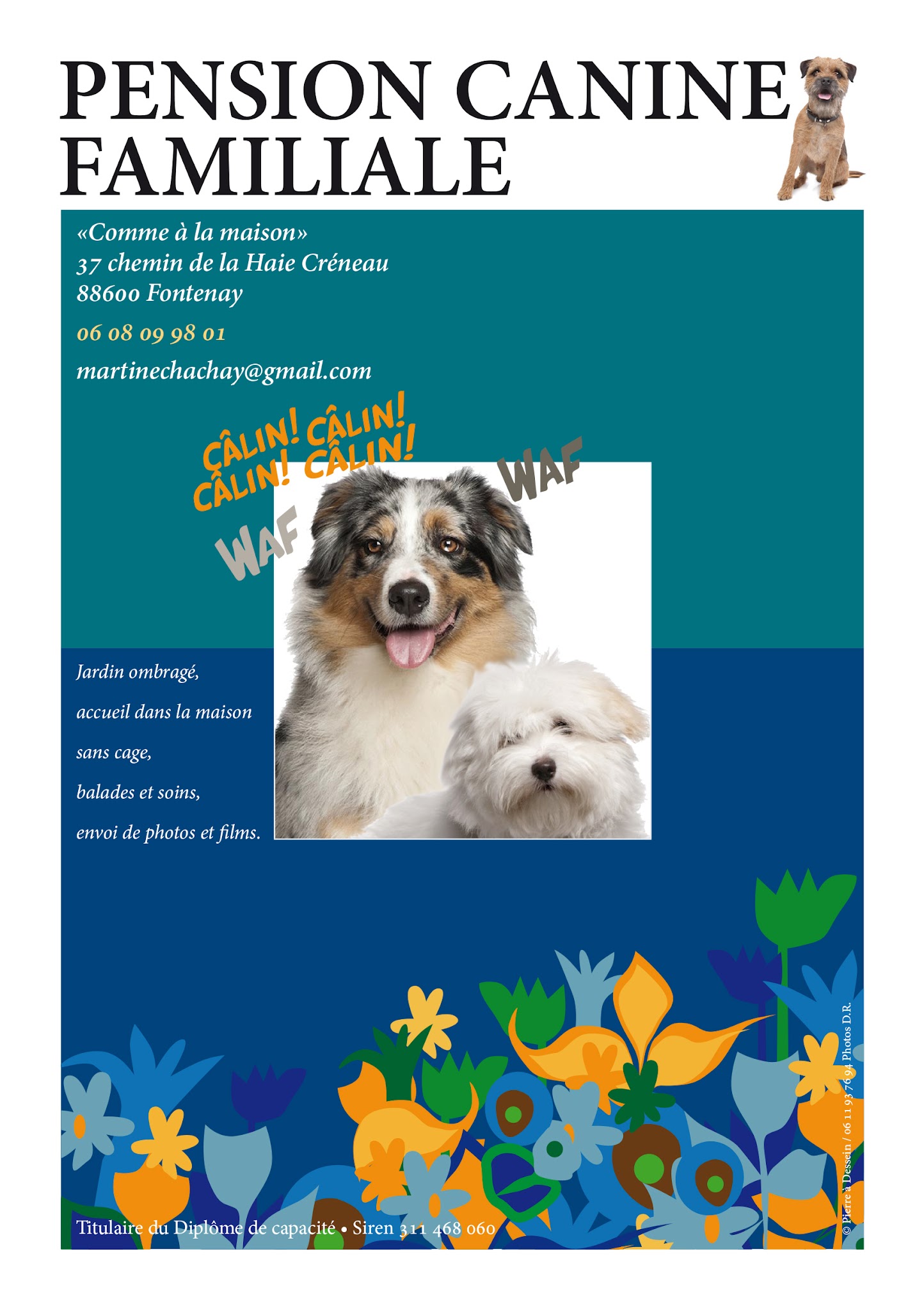 Pension canine familiale Vosges — photo