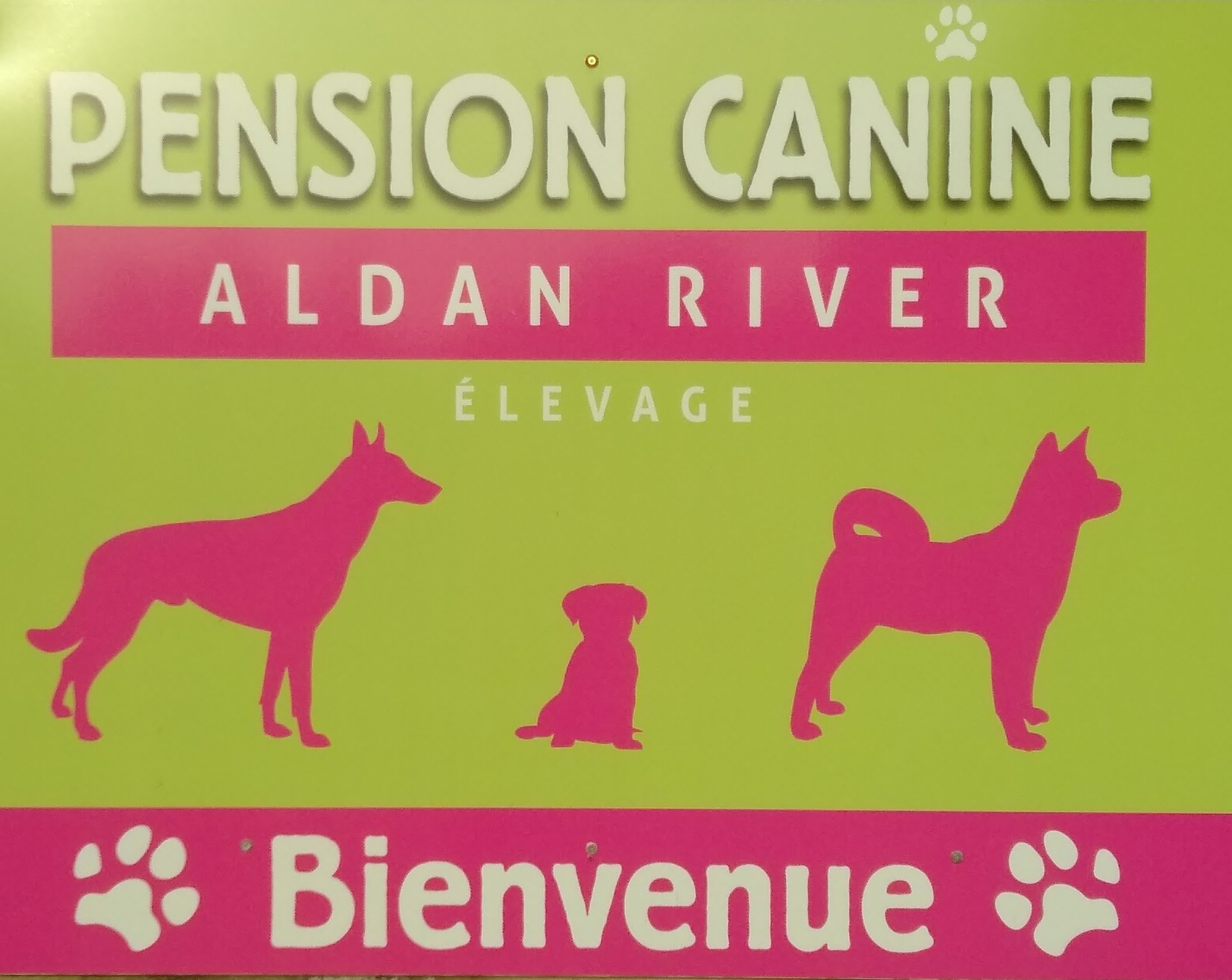 Elevage - Pension Canine " of Aldan River"