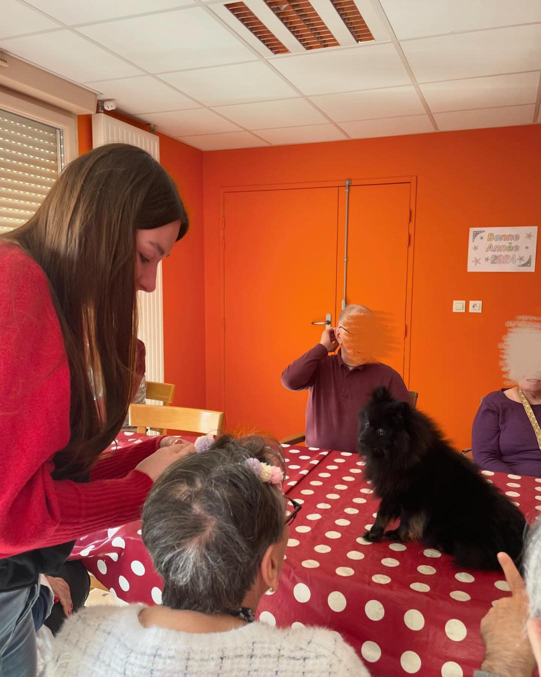 Mains et coussinets - Médiation par l'animal et garde d'animaux — photo