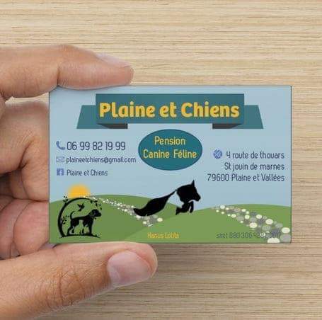 Plaine et chiens — photo