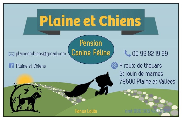 Plaine et chiens — photo