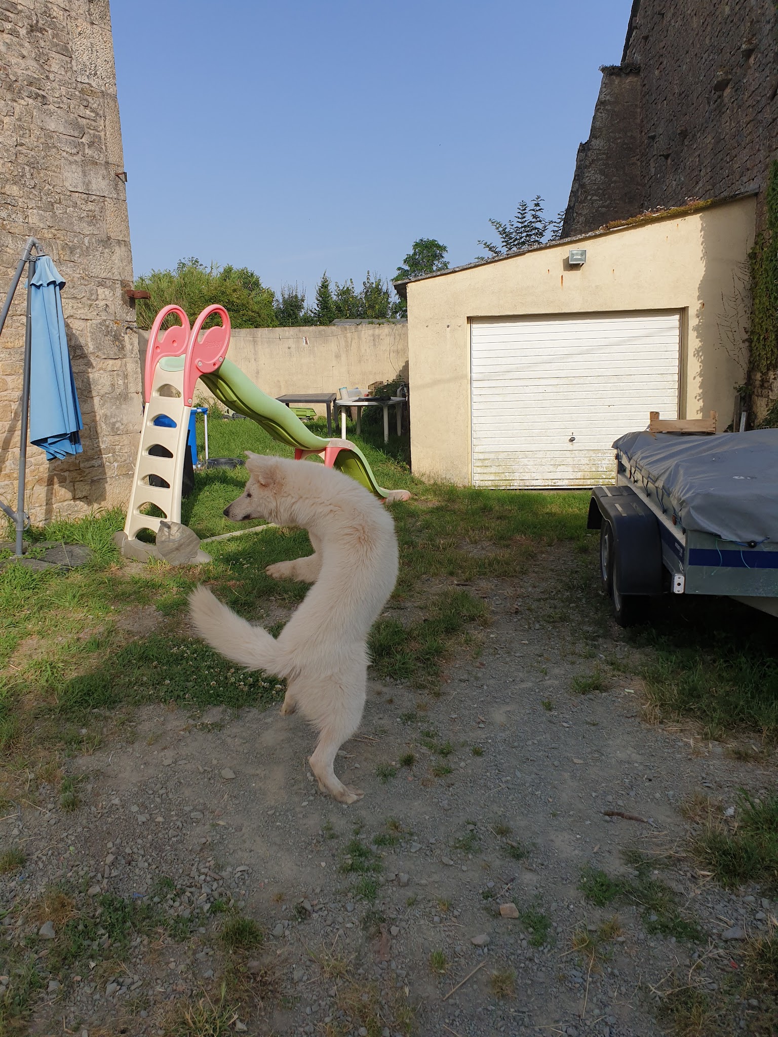 Glapity-pet — photo