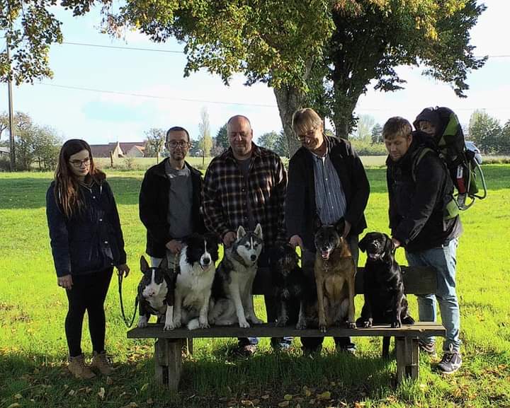 wolfhound school