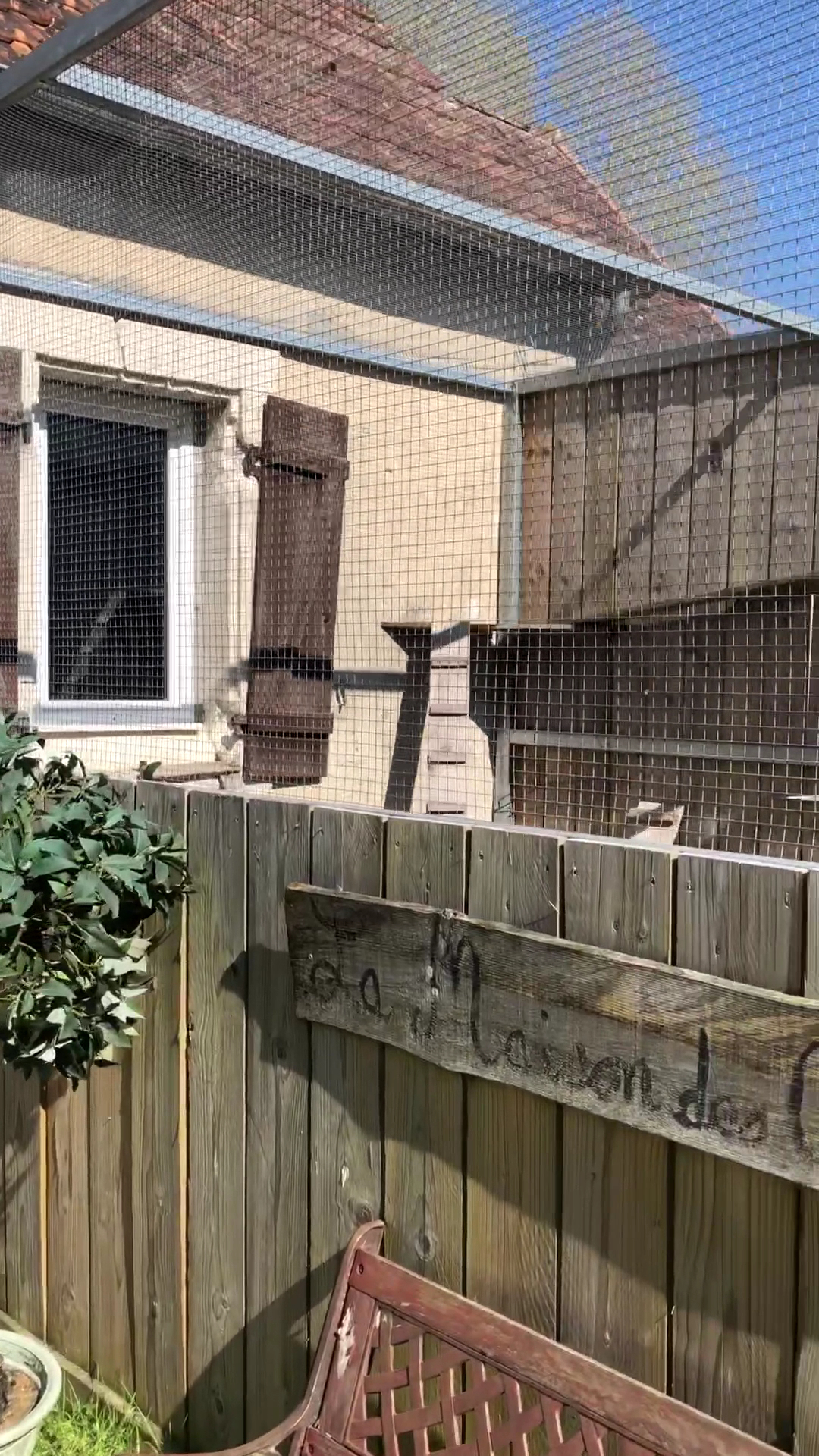 Pension Canine et Féline La Louvetière Le Mans-72-Sarthe La Chartre sur le Loir Ecommoy Le Lude Bouloire — photo