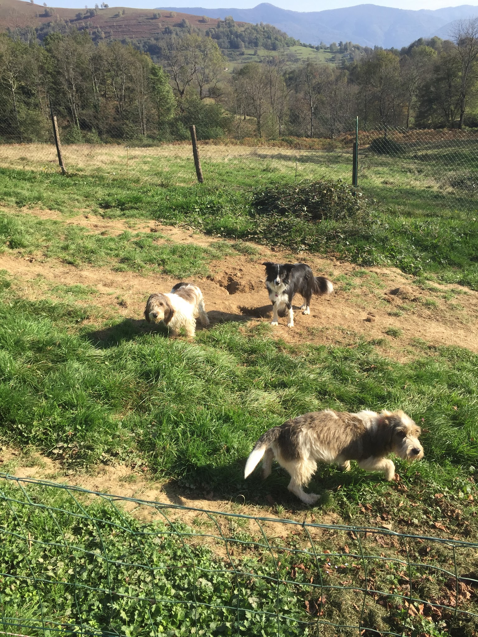 La Dog'Colo — photo