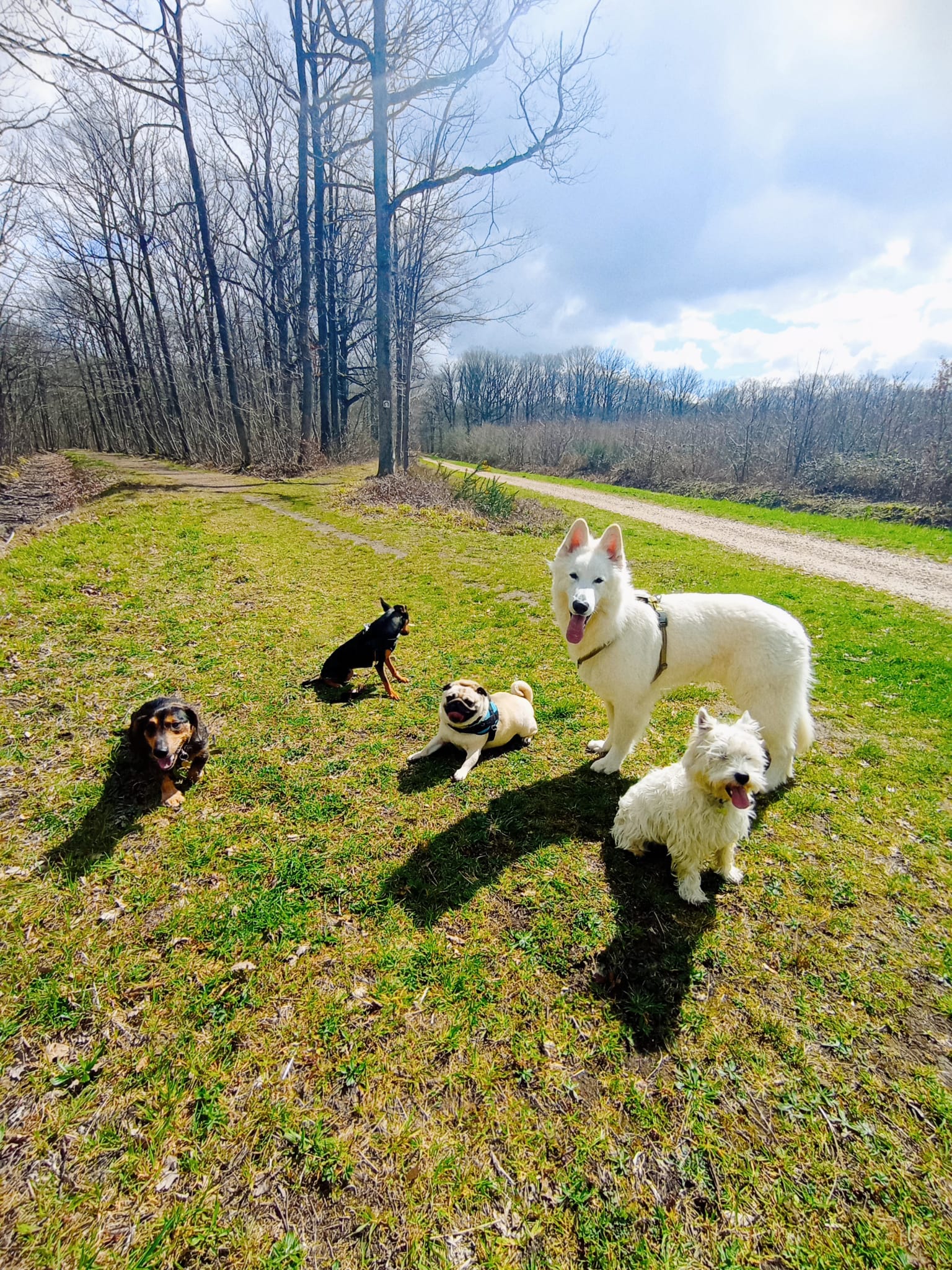 Diane - Petsitter (visites à domicile) — photo