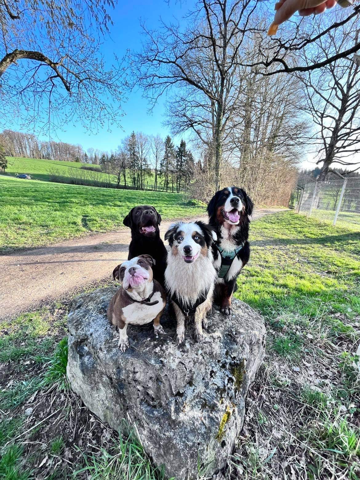 Le clan des câlins — photo