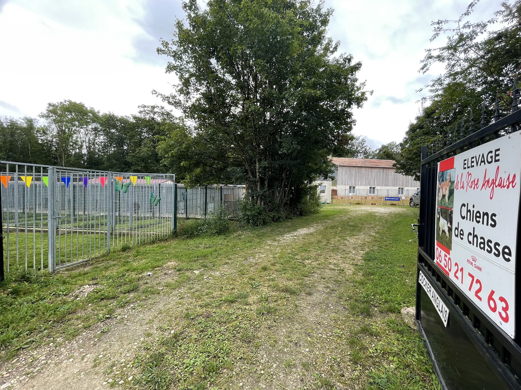 Pension de la rose anglaise — photo