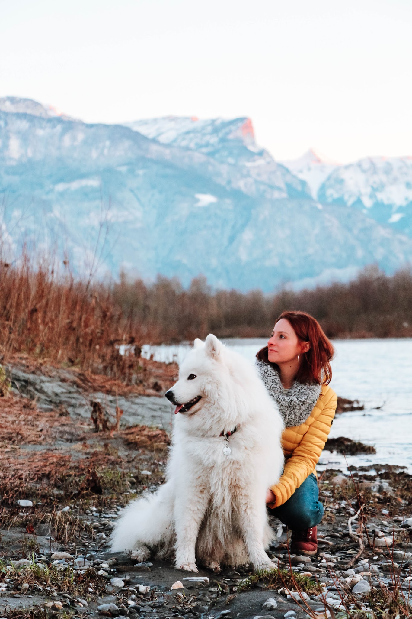 Canifeli Synergie - Pet Sitter Chiens, Chats, NAC - Promeneur de chiens | Méthodes positives