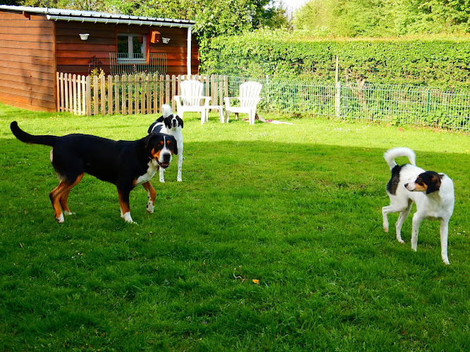 Pension Canine "Comme à la maison"