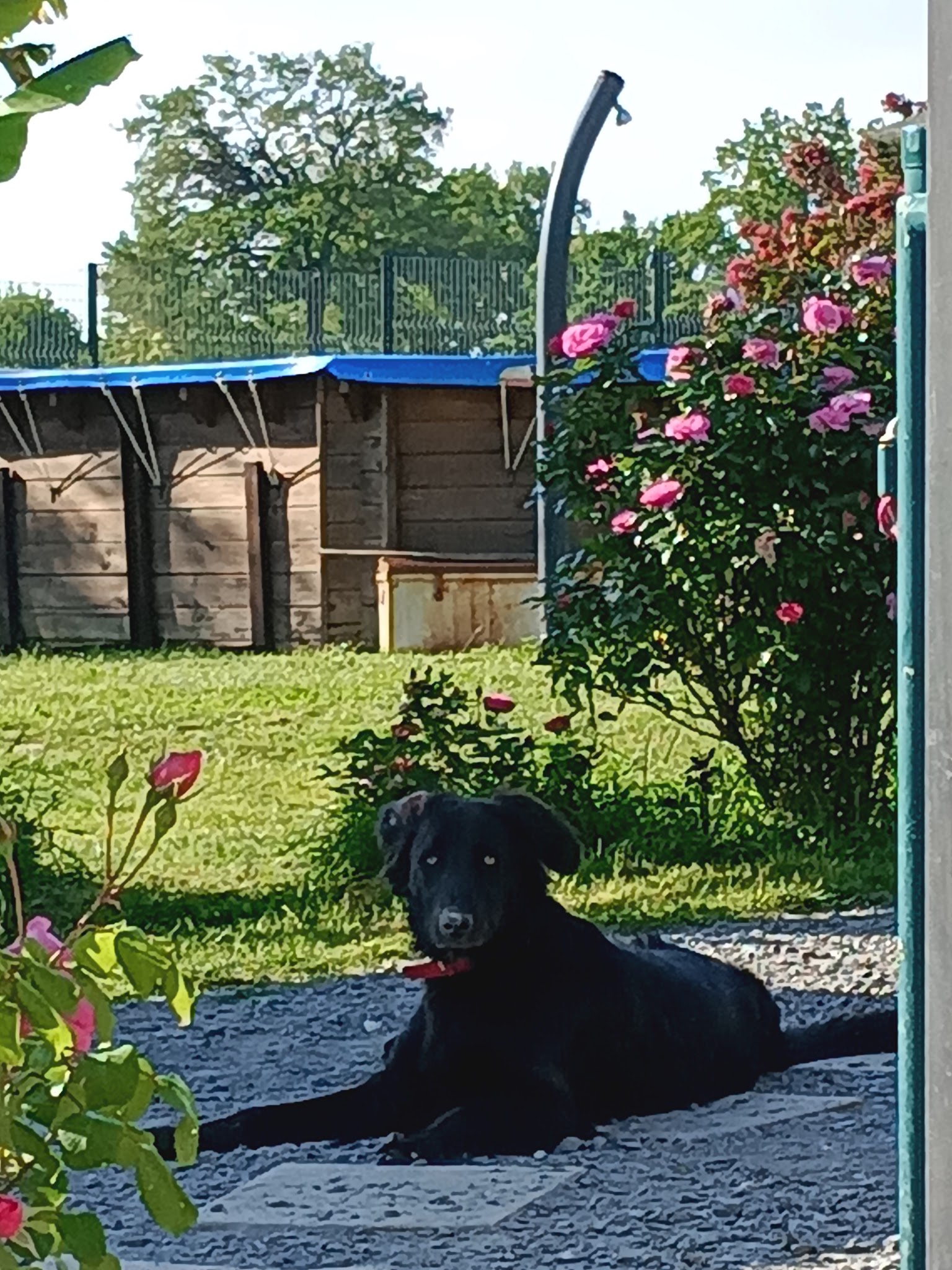La Compagnie de Lilie — photo
