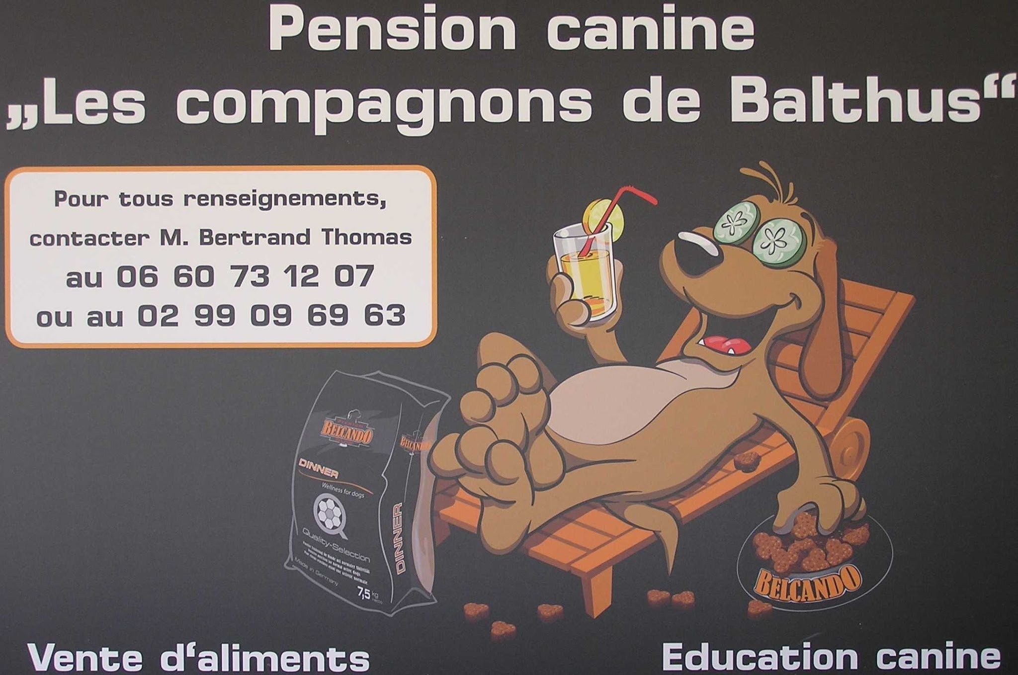 Pension canine Les Compagnons de Balthus — photo