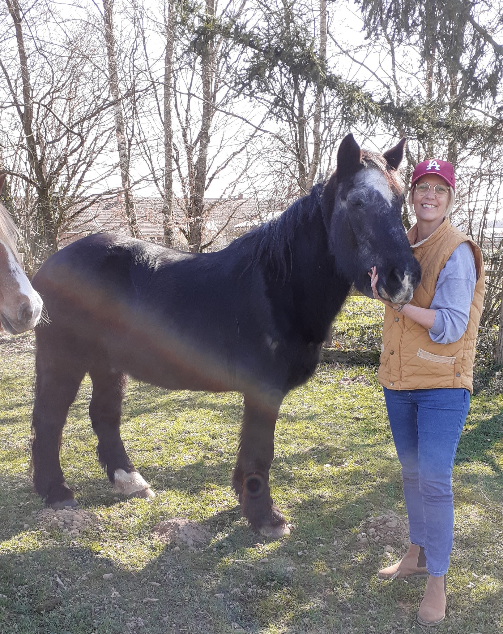 Nounou pour vos Compagnons — photo