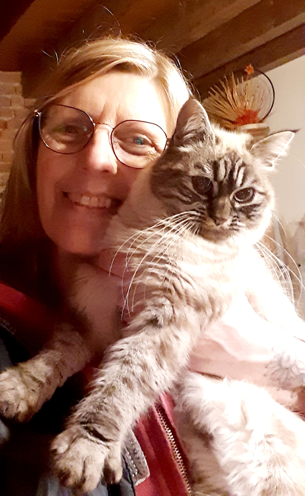 Nounou pour vos Compagnons — photo