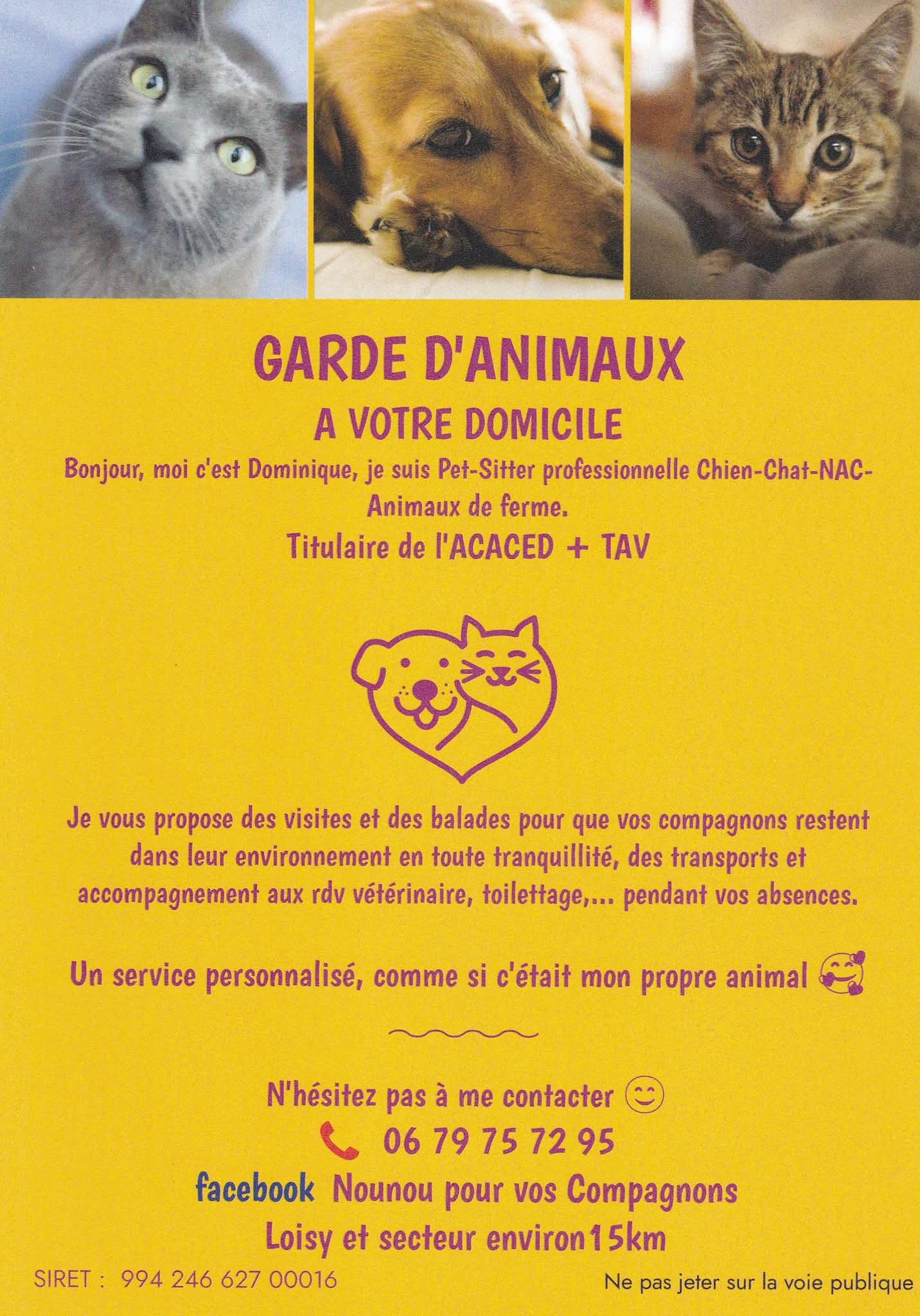 Nounou pour vos Compagnons