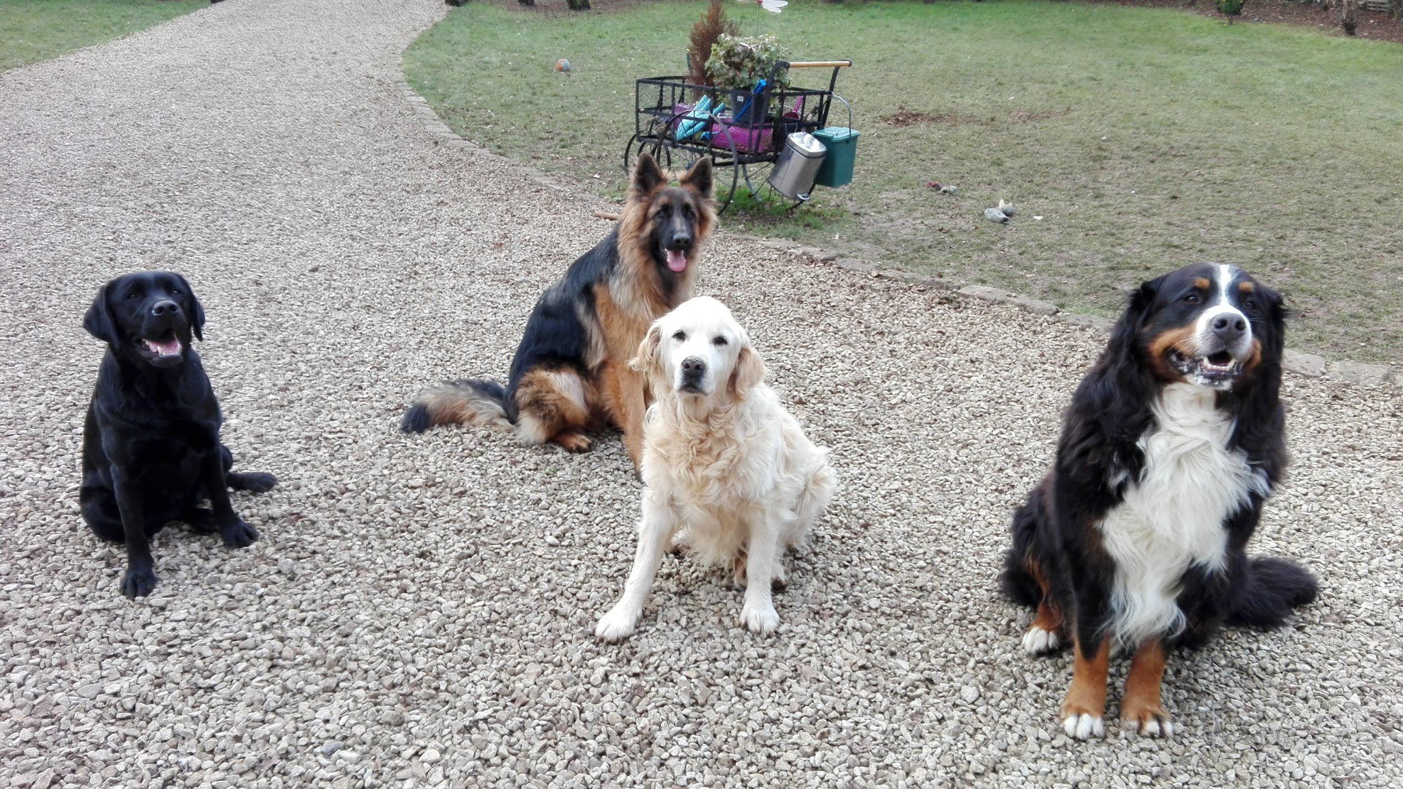 La Grange aux Loups — photo