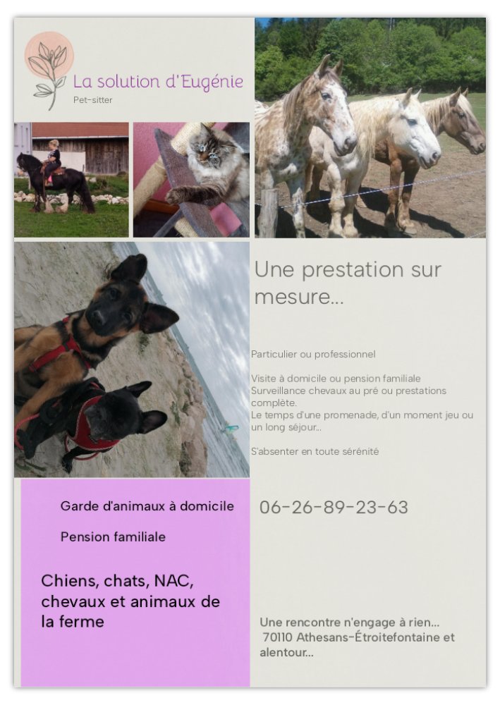 La solution d'Eugénie — photo