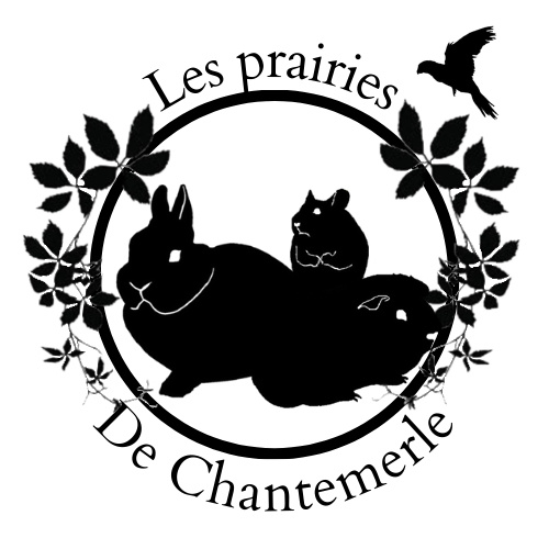 Les Prairies de Chantemerle — photo