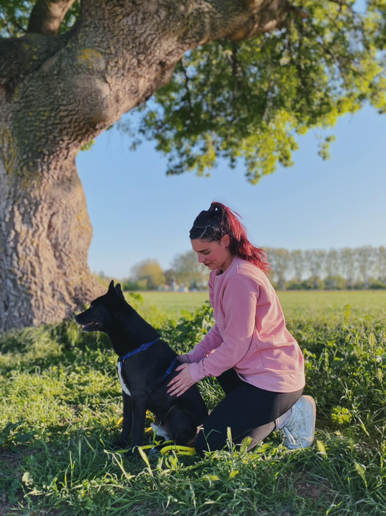 Kālù Bien-Être - Petsitter - Massage Canin