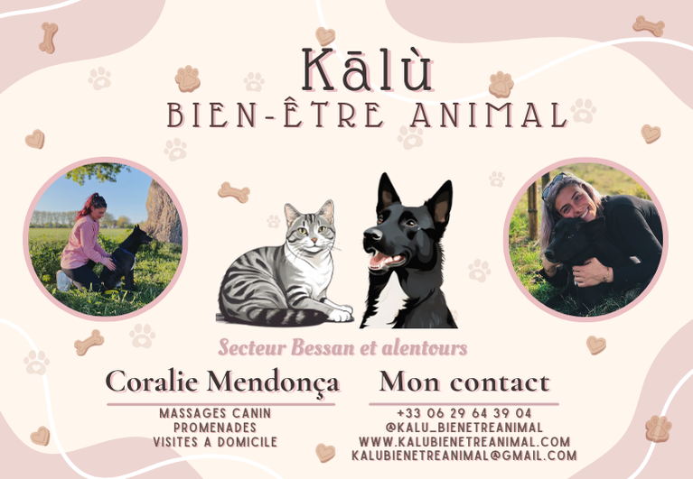 Kālù Bien-Être - Petsitter - Massage Canin — photo