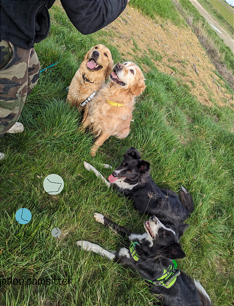 Jadou'pawsitter — photo