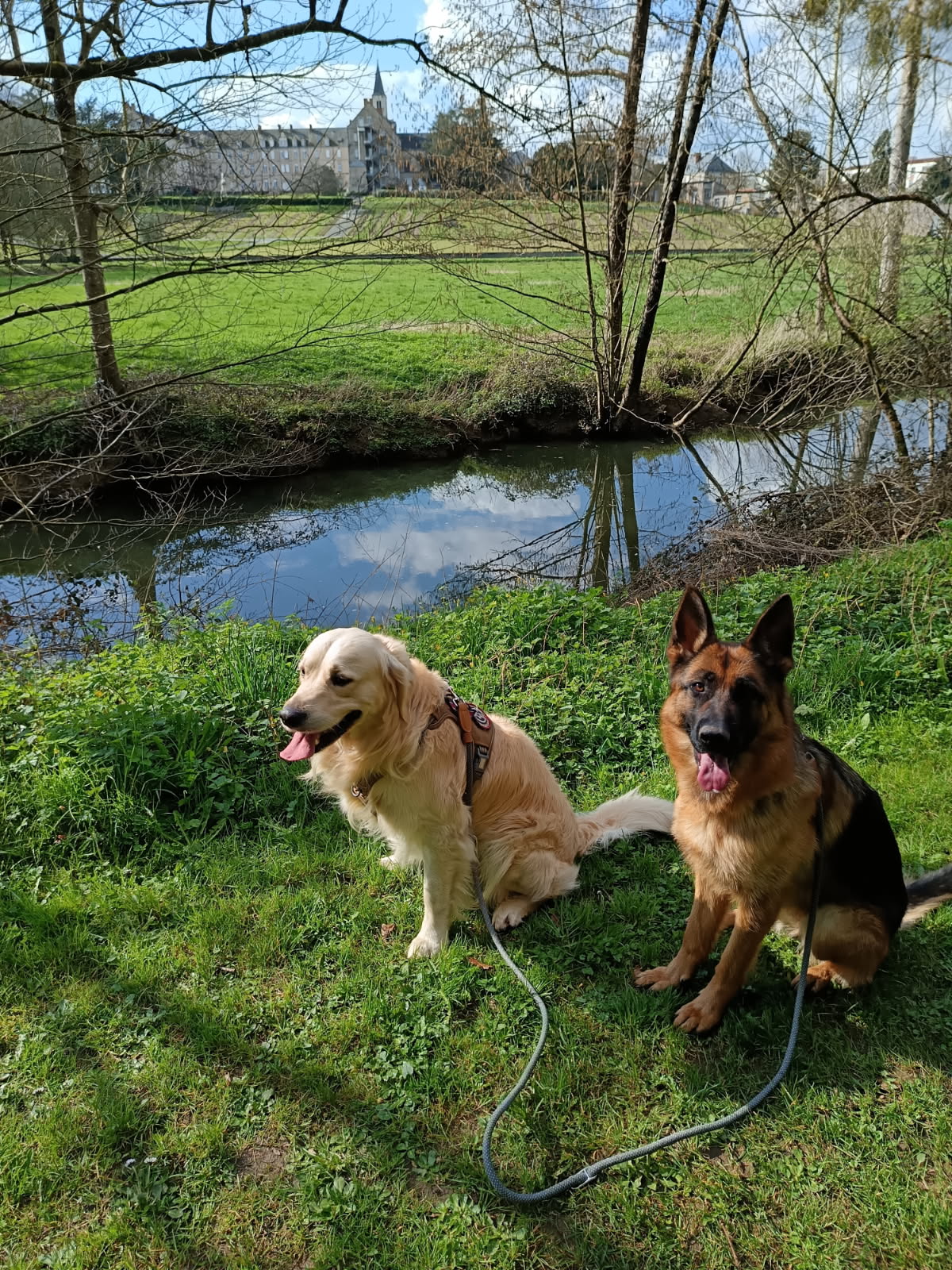 Pet's Aventure — photo