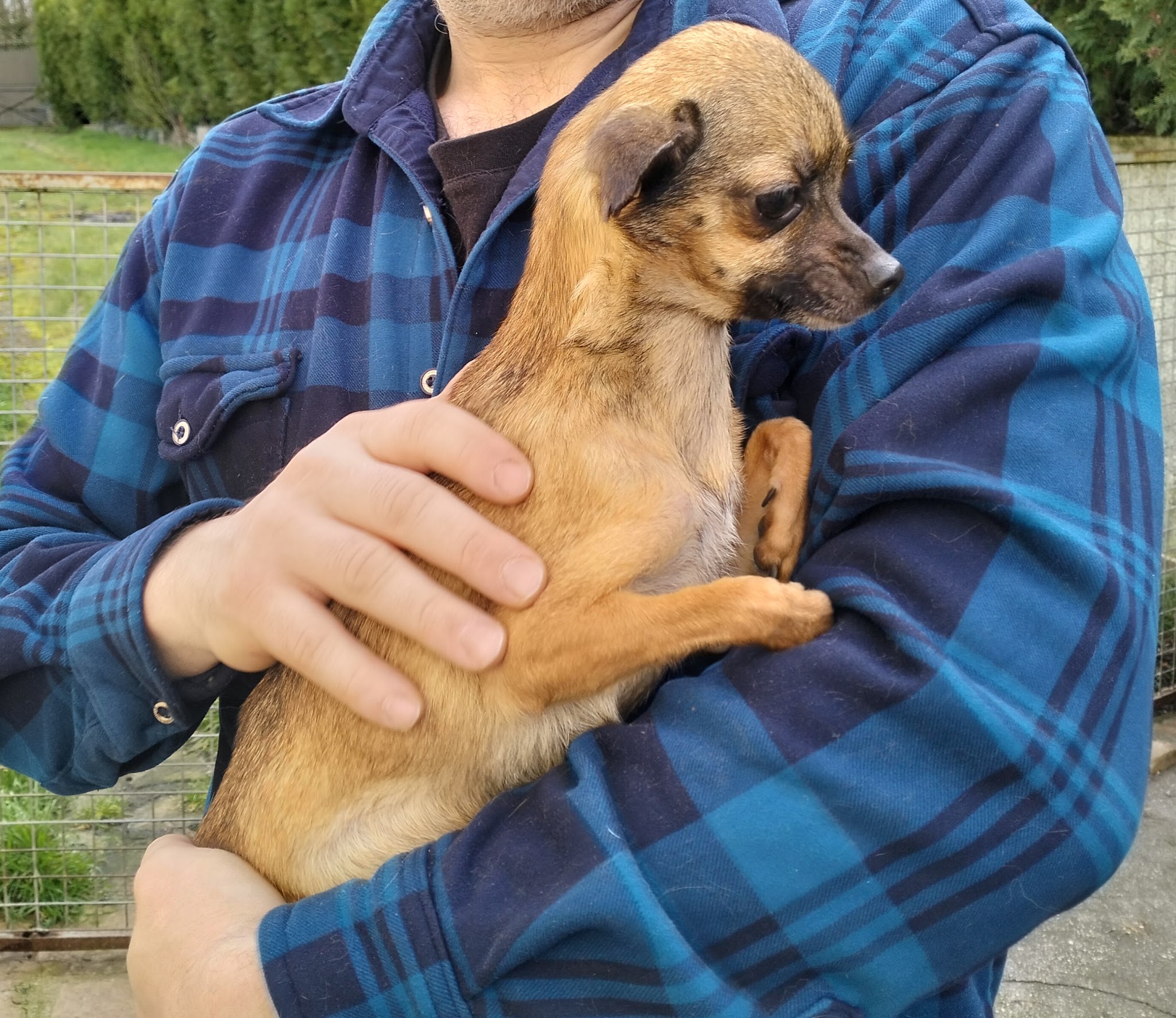 Centre Canin et Félin du Château Fraye — photo