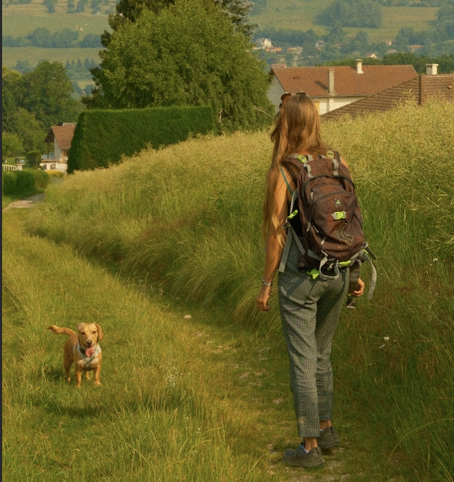 L’Arche de Noema - Éducation canine, comportement félin & Promeneuse — photo