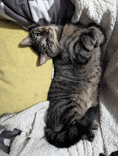Service de garde d'animaux