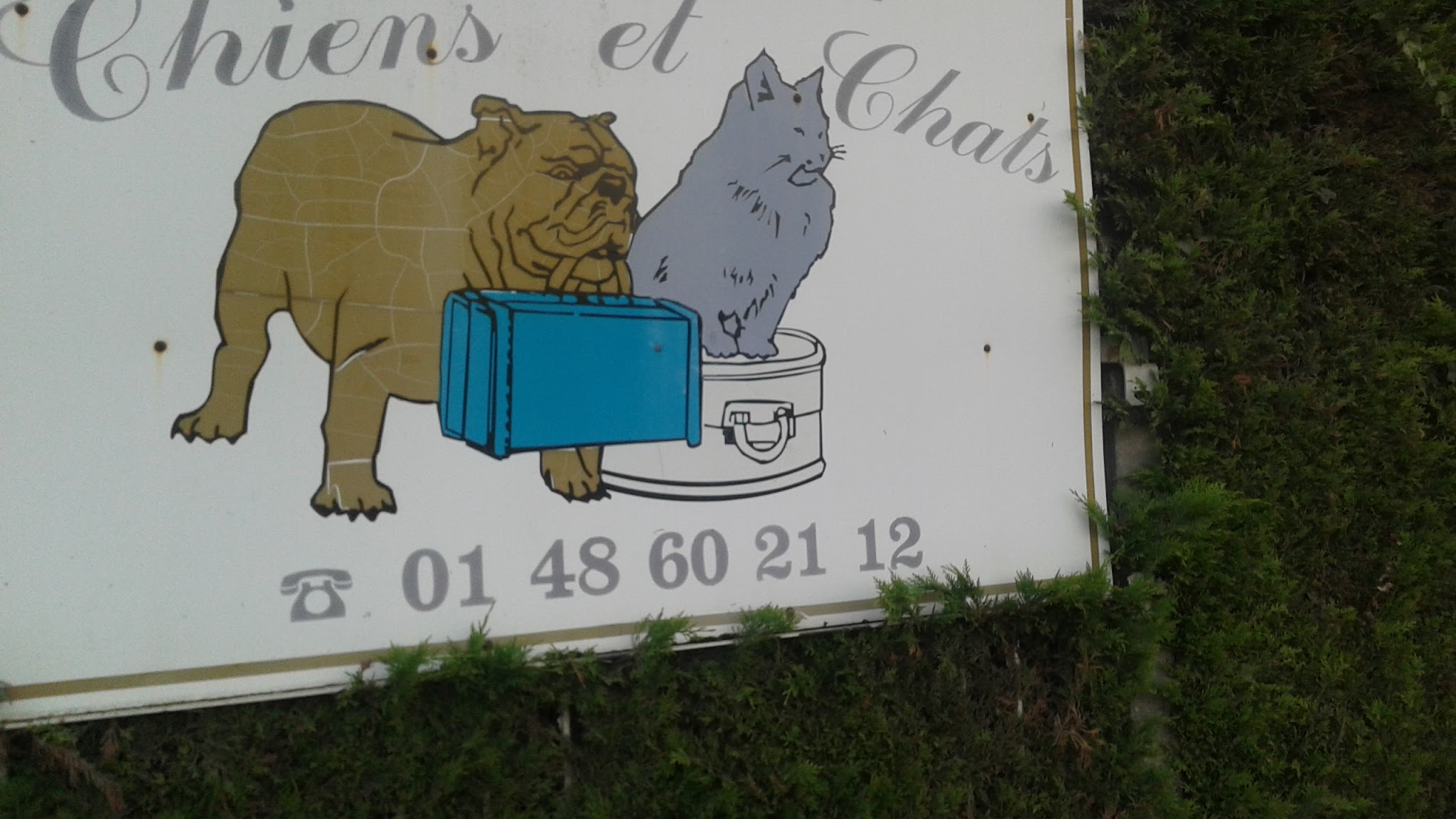 Pension Chez Jojo — photo