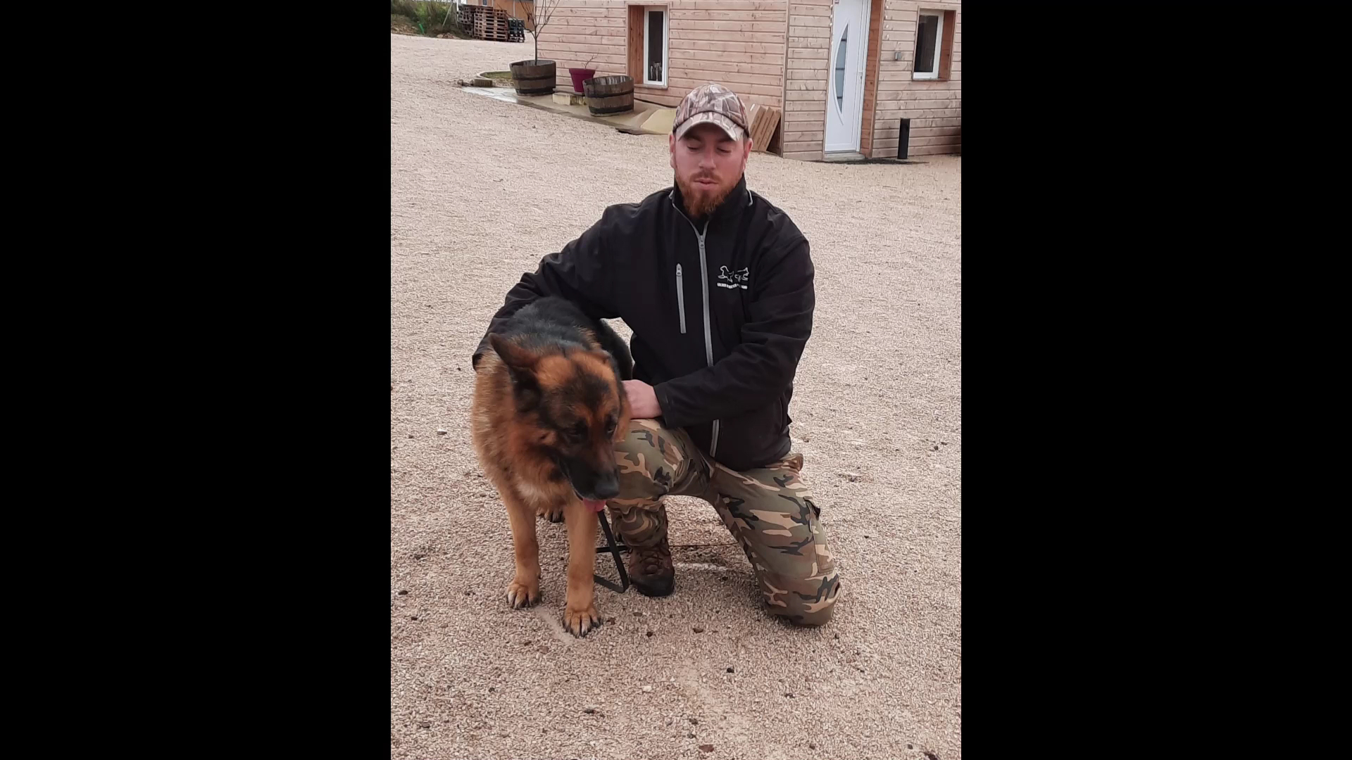 Des Légendaires Nahauri : Berger allemand, Golden retriever| Pension/éducation canine| Alimentation — photo