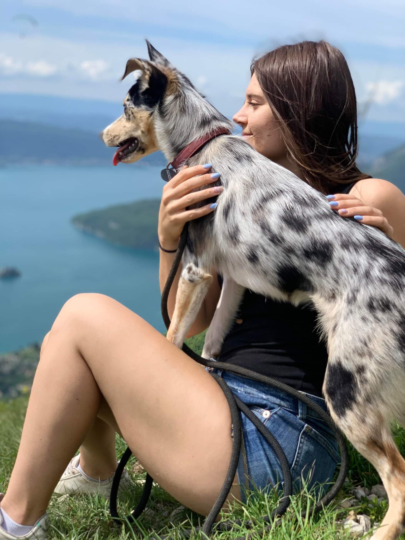 Pawssion — photo