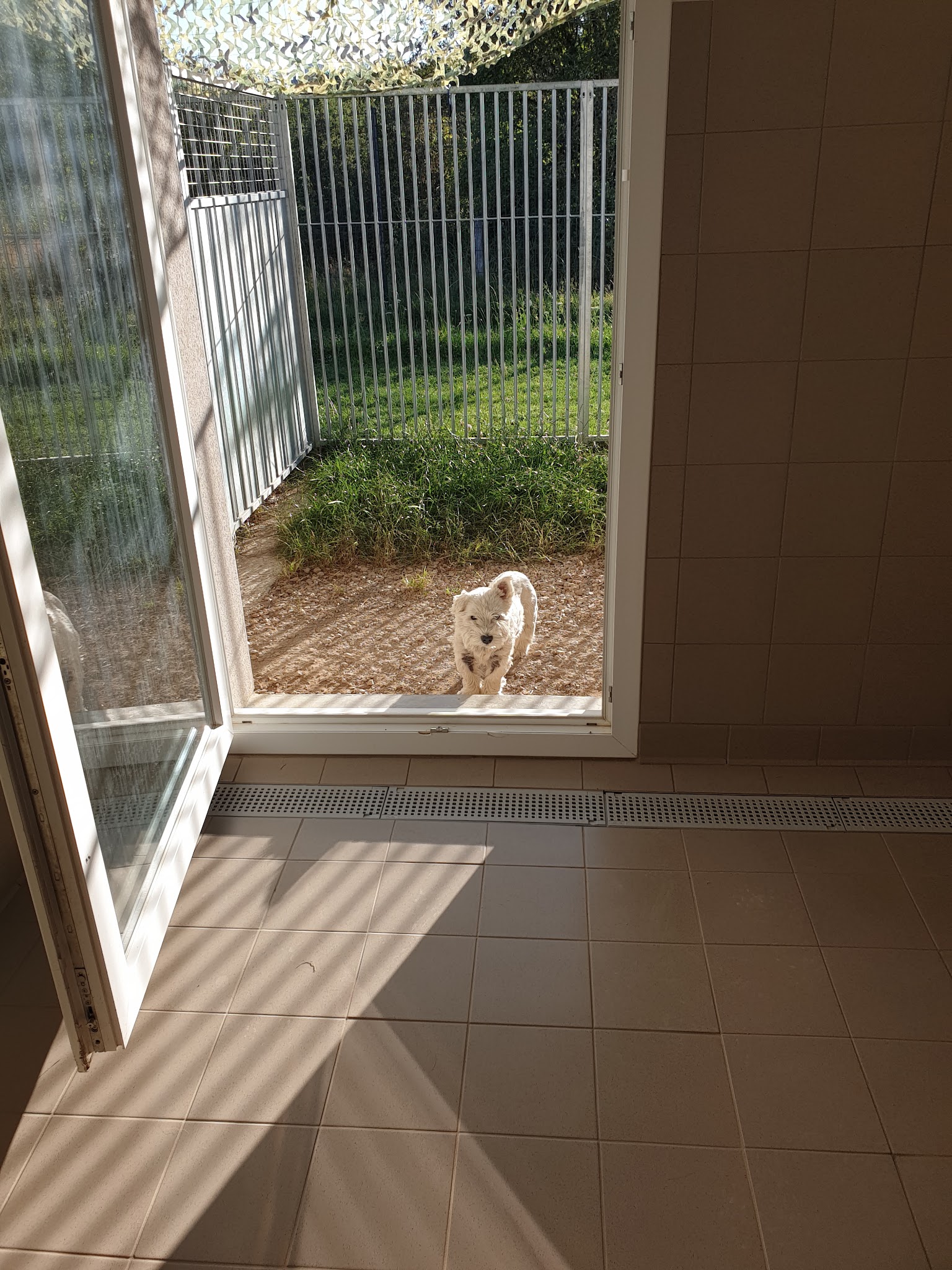 L'arche d'Izia — photo
