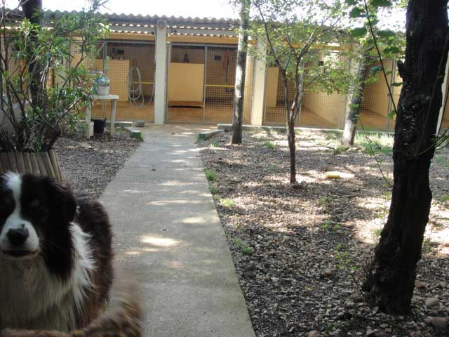 Pension Colo-Niche — photo
