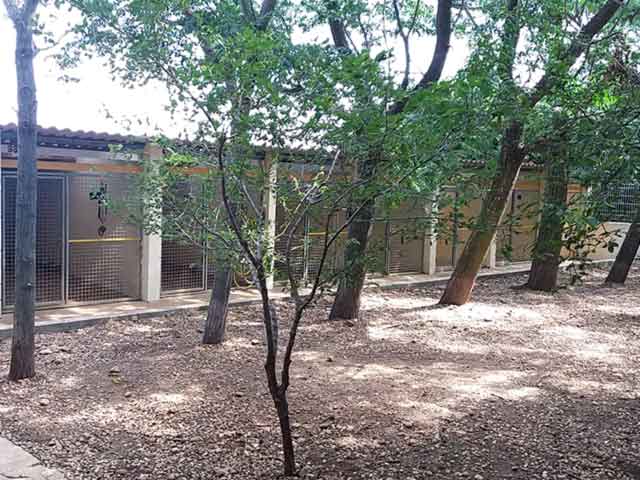 Pension Colo-Niche — photo