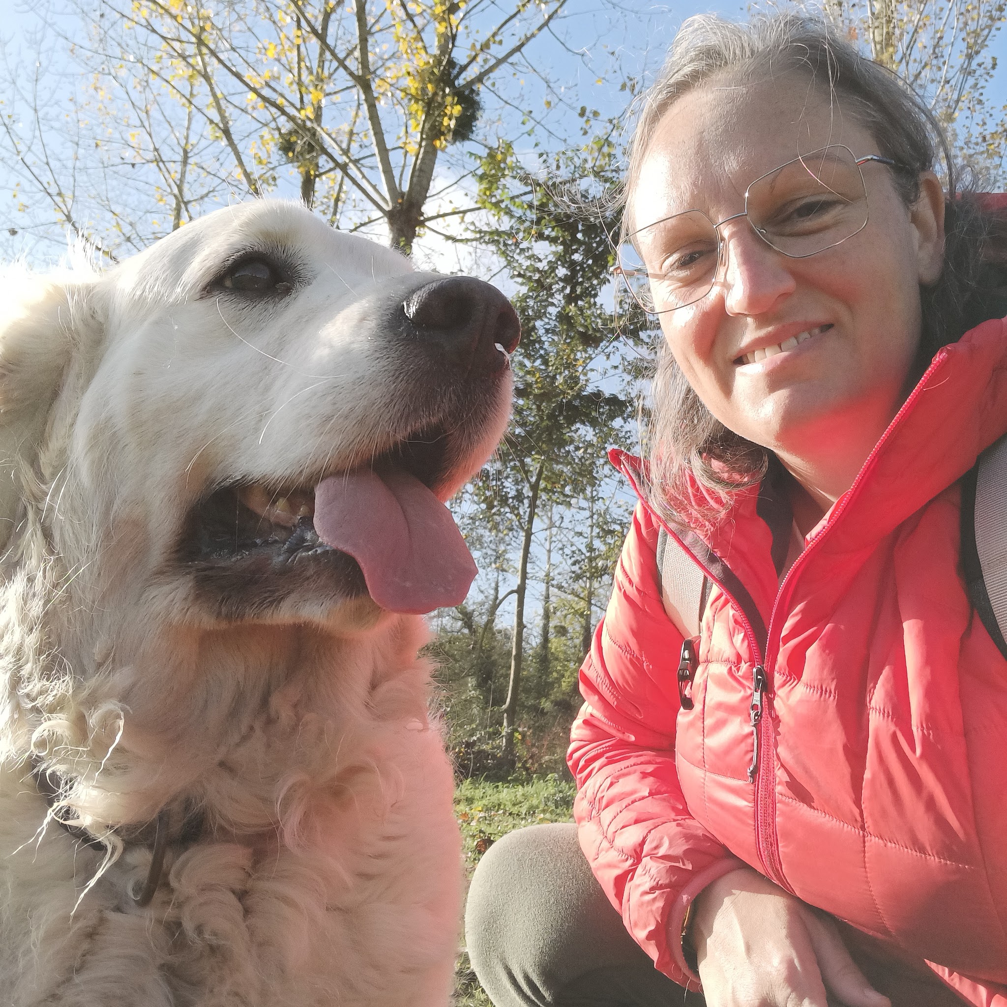 ODATeam, Educateur Canin, Comportementaliste Animalier, Pet sitter, Pension familiale — photo